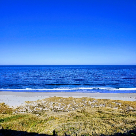 Meet your Posher, Celeste - Picture 15 of 16